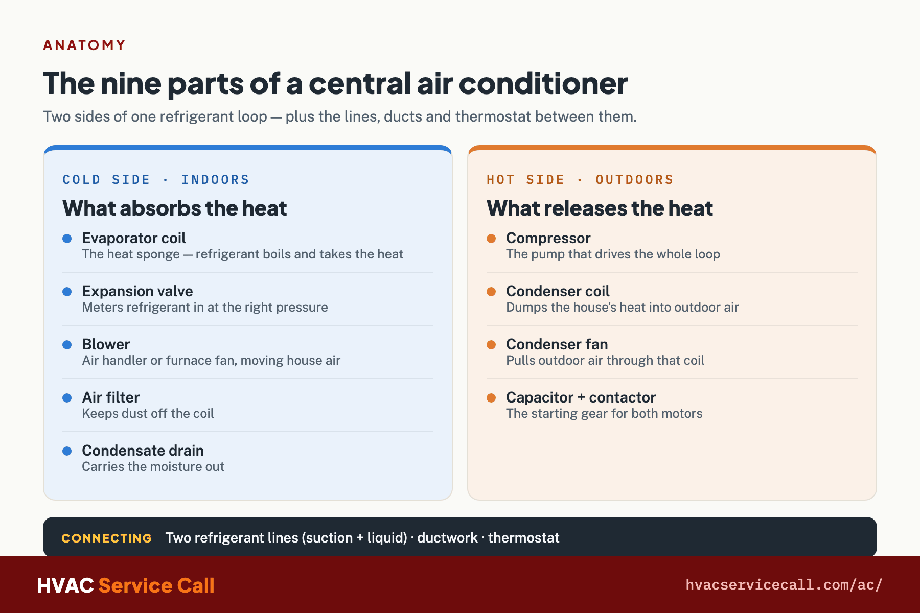The nine parts of a central air conditioner: cold side indoors holds the evaporator coil, expansion valve, blower, air filter and condensate drain; hot side outdoors holds the compressor, condenser coil, condenser fan and capacitor.