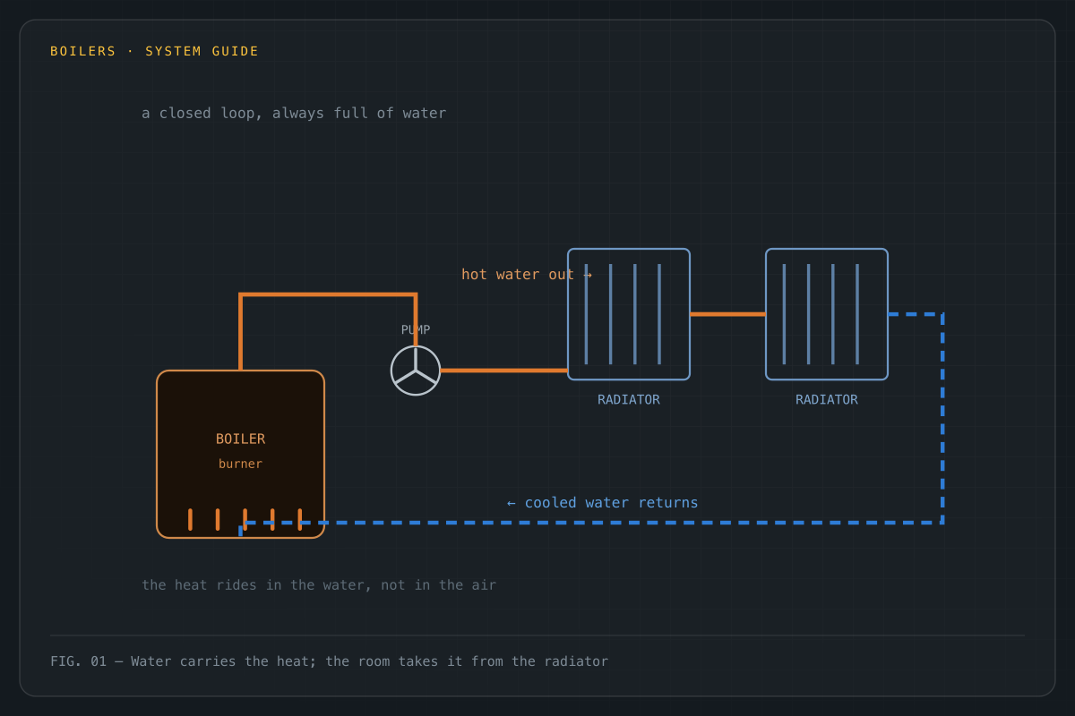 A boiler heats water, a circulator pump sends it to radiators, and the cooled water returns to be reheated.